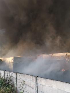Incendiu uriaş în Bihor: Un depozit de deşeuri din plastic a luat foc (FOTO / VIDEO)