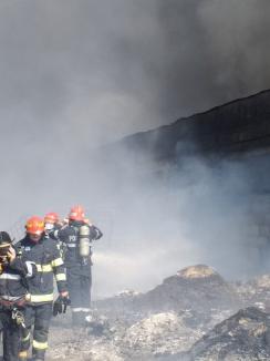 Misiune dificilă în cazul incendiului uriaş din Salonta: 8.000 de metri pătraţi afectaţi, fum mult şi gaze toxice degajate (FOTO / VIDEO)