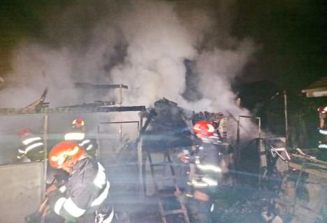 Incendiu în miez de noapte la o gospodărie din Sântandrei (FOTO)
