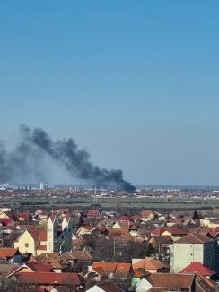 Incendiu violent la o casă din Sântandrei (FOTO / VIDEO)