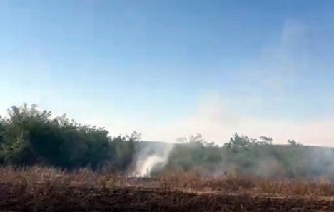 Incendiu lângă satul Sărand. Flăcările au amenințat o fermă și o pădure (VIDEO)