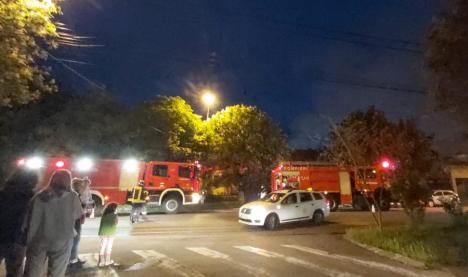 Incendiu pe strada Seleuşului din Oradea: O ţigară nestinsă a aprins tot garajul