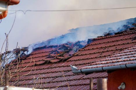 Incendiu puternic la două case din Oradea (FOTO/VIDEO)
