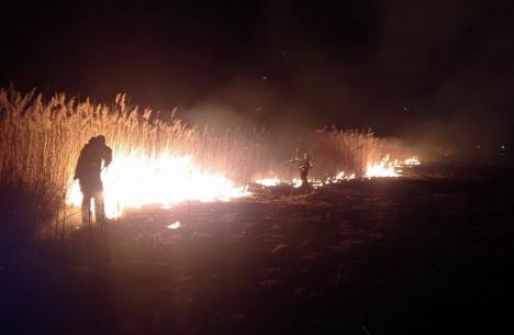 Incendiile de vegetație fac ravagii în Bihor: O pădure și șapte terenuri au ars, într-o singură zi, în șapte localități