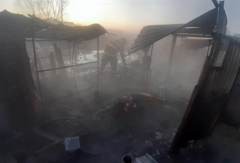 Un porc şi patru raţe au ars de vii într-o gospodărie din Tulca