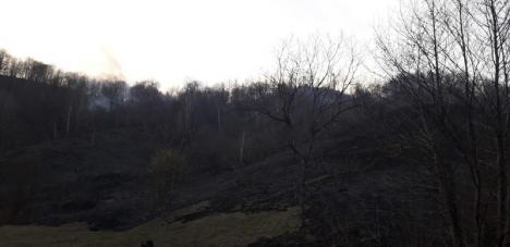 Incendiu uriaş pe Valea Aleului: 30 de hectare de pământ au ars, pompierii au luptat cu flăcările aproape 6 ore (FOTO)