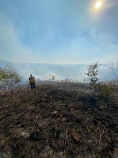 A ars Valea Aleului, din munții Apuseni. Pompierii s-au luptat cu flăcările timp de 10 ore (FOTO/VIDEO)