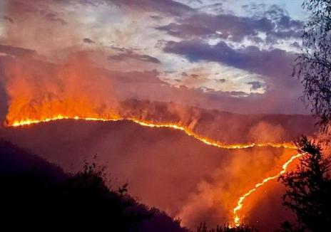 Tot mai multe incendii de vegetație și de pădure în Bihor. Șeful ISU: „Vina o poartă omul”