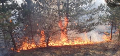 Valea Omului, în flăcări din cauza… omului. Incendii violente la marginea unui sat din Bihor (FOTO)