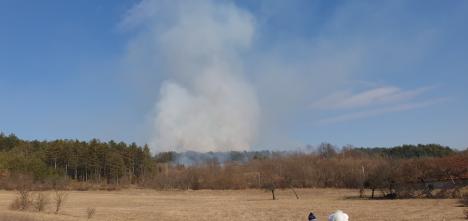 Valea Omului, în flăcări din cauza… omului. Incendii violente la marginea unui sat din Bihor (FOTO)