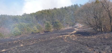 Valea Omului, în flăcări din cauza… omului. Incendii violente la marginea unui sat din Bihor (FOTO)