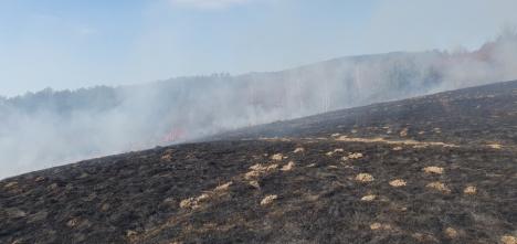 Valea Omului, în flăcări din cauza… omului. Incendii violente la marginea unui sat din Bihor (FOTO)