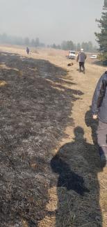 Valea Omului, în flăcări din cauza… omului. Incendii violente la marginea unui sat din Bihor (FOTO)