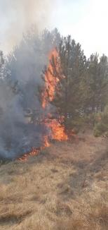 Valea Omului, în flăcări din cauza… omului. Incendii violente la marginea unui sat din Bihor (FOTO)