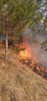 Valea Omului, în flăcări din cauza… omului. Incendii violente la marginea unui sat din Bihor (FOTO)