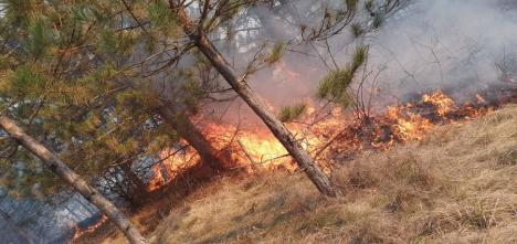 Valea Omului, în flăcări din cauza… omului. Incendii violente la marginea unui sat din Bihor (FOTO)