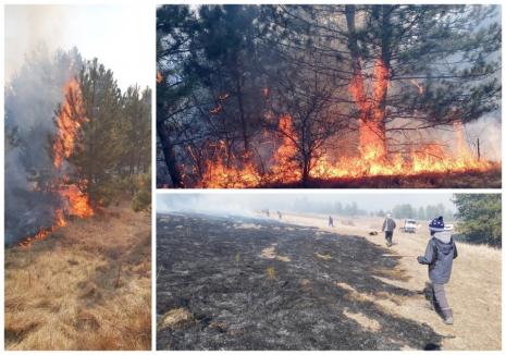 Valea Omului, în flăcări din cauza… omului. Incendii violente la marginea unui sat din Bihor (FOTO)