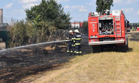 Șase incendii în șase ore, în Bihor. Atenție la arderile de vegetație uscată!