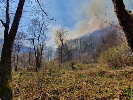 Foc în Parcul Natural Apuseni: De o săptămână, incendiile de vegetaţie uscată mistuiesc terenurile de lângă Pietroasa (FOTO)