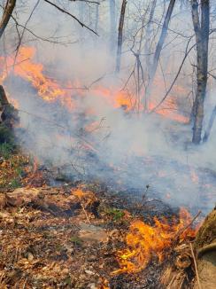 Foc în Parcul Natural Apuseni: De o săptămână, incendiile de vegetaţie uscată mistuiesc terenurile de lângă Pietroasa (FOTO)