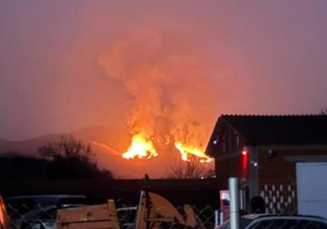 Incendiu masiv de vegetație în Bihor. Focul riscă să ajungă la o pădure din apropiere (FOTO/VIDEO)