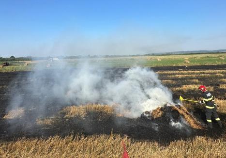 Incendiile de vegetaţie fac ravagii în Bihor: Doar duminică pompierii au intervenit în opt sate