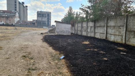 Incendiu de vegetaţie uscată, lângă adăpostul de câini din Oradea. Peste 15 hectare de teren au luat foc (FOTO / VIDEO)