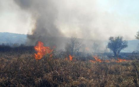 Un nou incendiu de vegetaţie: La Paleu, focul a ajuns foarte aproape de livezi (FOTO / VIDEO)