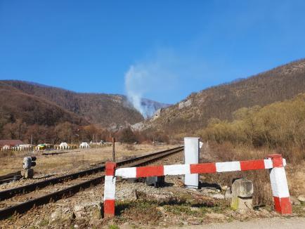Incendiu într-o arie protejată din Bihor: Pădurea dintre Vadu Crişului şi Şuncuiuş a luat foc (FOTO)