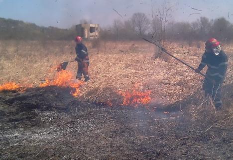 ISU Bihor: 10 incendii de vegetație uscată într-o singură zi