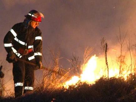 Nu daţi foc miriştilor! 28 de hectare au ars în Bihor în două zile