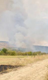 Pompieri, pădurari și voluntari se luptă cu flăcările, în pădurea de lângă Vintere. Prefectul de Bihor: „Focul nu este în apropierea caselor” (FOTO/VIDEO)