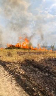 Pompieri, pădurari și voluntari se luptă cu flăcările, în pădurea de lângă Vintere. Prefectul de Bihor: „Focul nu este în apropierea caselor” (FOTO/VIDEO)