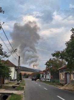 Incendiu masiv de pășune și pădure într-o localitate din Bihor (FOTO/VIDEO)