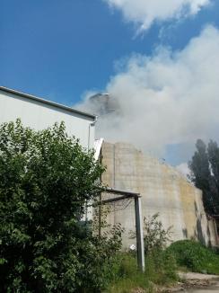 Incendiu la fosta fabrică Zahărul din Oradea (VIDEO)