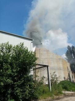 Incendiu la fosta fabrică Zahărul din Oradea (VIDEO)