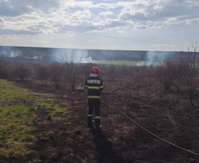 Trafic în fum pe DN1: Incendiu de vegetație uscată între Lugașu de Jos și Urvind (FOTO)