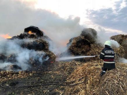 Hoţ şi piroman: Un bărbat din Bihor care a comis 13 furturi şi a incendiat magaziile unor fermieri a fost arestat