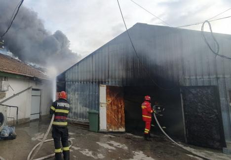 Incendiu de amploare lângă Oradea: Două hale de depozitare, cuprinse de flăcări (FOTO/VIDEO)