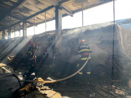 Incendiu la o hală din Oradea (FOTO / VIDEO)