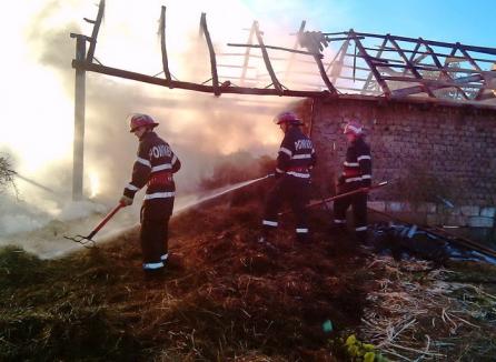 Incendiu la Gurbeşti: Un bătrân cu probleme psihice a dat foc unui şopron