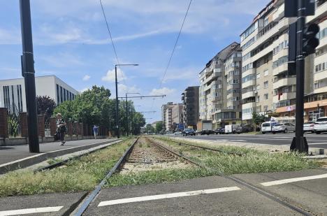 Circulaţia tramvaielor pe Calea Aradului va fi sistată timp de o lună, pentru înlocuirea căii de rulare (FOTO)