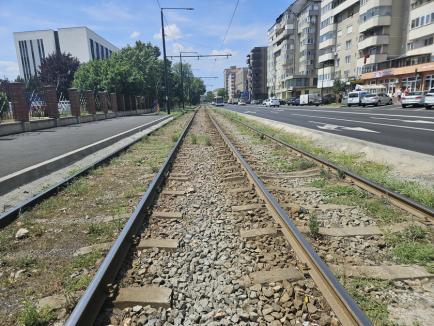 Circulaţia tramvaielor pe Calea Aradului va fi sistată timp de o lună, pentru înlocuirea căii de rulare (FOTO)