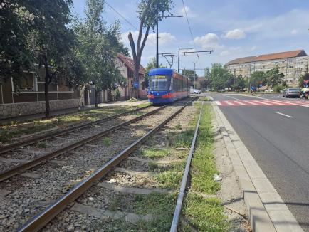 Circulaţia tramvaielor pe Calea Aradului va fi sistată timp de o lună, pentru înlocuirea căii de rulare (FOTO)