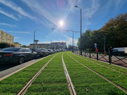Pe verde: A început înierbarea între șinele de tramvai în zona Nufărul-Cantemir (FOTO)