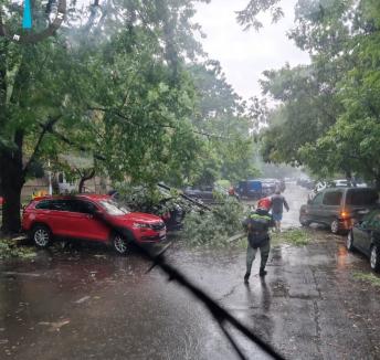 Furtunile au făcut ravagii în Bihor: Străzi inundate în Oradea, copaci căzuți inclusiv peste liniile de tramvai (FOTO/VIDEO)