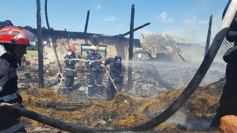 Incendiu în Miersig: Patru capre au ars de vii, într-un adăpost mistuit de flăcări (FOTO)