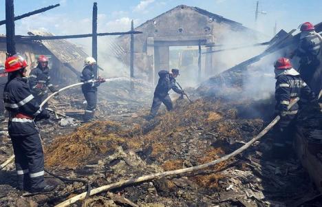 Incendiu în Miersig: Patru capre au ars de vii, într-un adăpost mistuit de flăcări (FOTO)