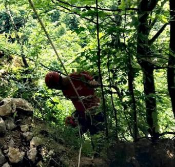 Un tânăr de 24 de ani din Bihor a căzut opt metri în gol, la cetatea Piatra Şoimului. Au intervenit salvamontiştii (FOTO)