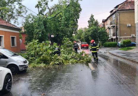 Continuă „curățenia” de după furtuni în Bihor: 48 de misiuni ale pompierilor în 8 localități